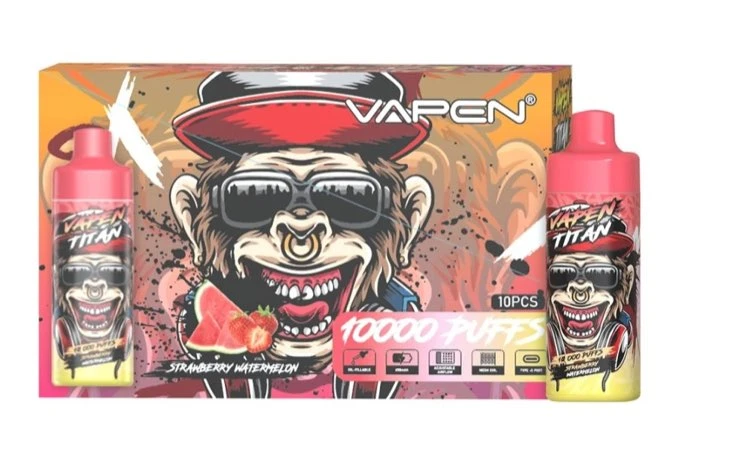 VAPEN TITAN 10000 Puffs Disposable Vape Wholesale factory